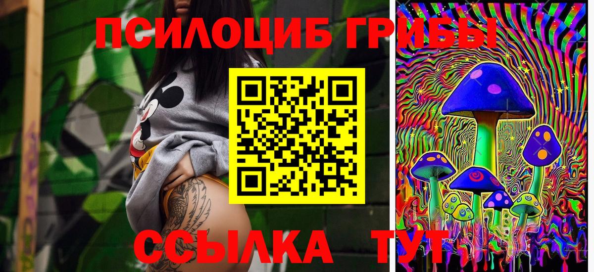 Братск  Псилоцибиновые грибы MAGIC MUSHROOMS  Вход с VPN 